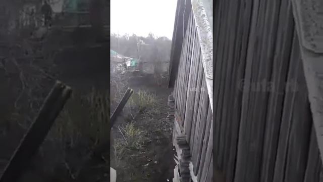 В Башкирии рысь напала на человека смотреть онлайн