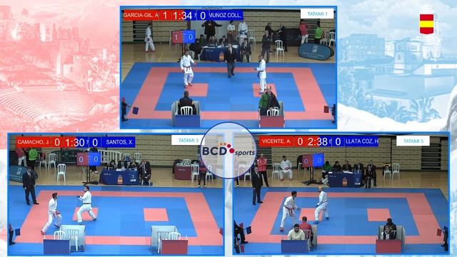 GRAN FINAL LIGA NACIONAL DE KARATE 2023 смотреть онлайн