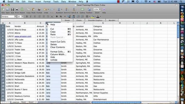 Excel 2008 for Mac: Cut, Copy & Paste