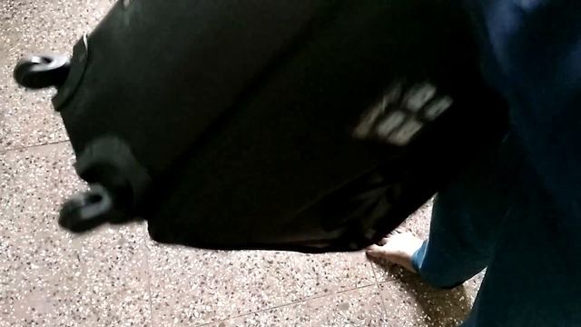 Skybags Polyester Black Soft Sided Suitcase (STVEN4W76BLK)(76*47*34 cm) unboxing and quick review смотреть онлайн