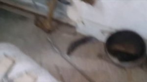 ПЕЧЬ БУЛЕРЬЯН БРЕНЕРАН ДЫМИТ..... 1 ЧАСТЬ