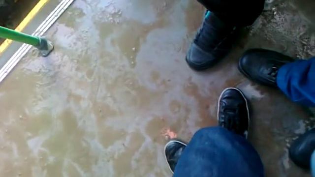 Весёлый гармонист в троллейбусе))) смотреть онлайн