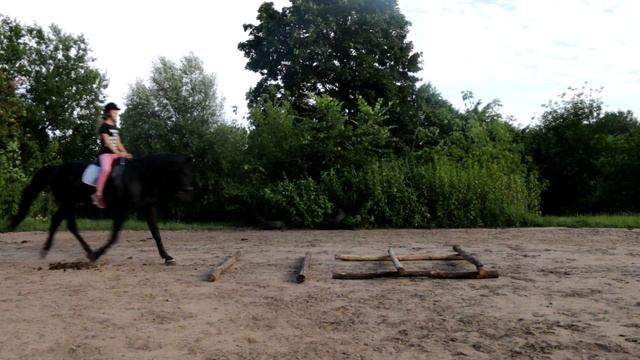 Тренировка (Конный клуб Федерат) смотреть онлайн