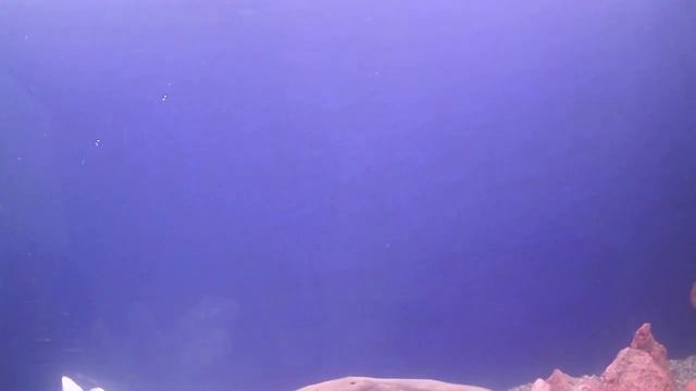 Внешний фильтр для аквариума 400 литров часть 2 смотреть онлайн