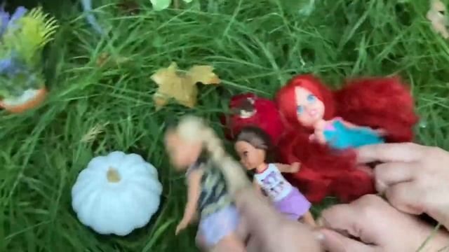 Barbie - ?pumpkin Patch Field Trip ?