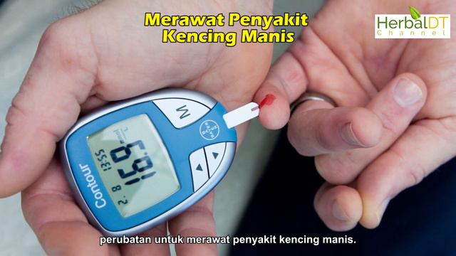 Pokok Misai Kucing (Episod 37) : Luar Biasa Manfaat Misai Kucing Untuk Kesihatan