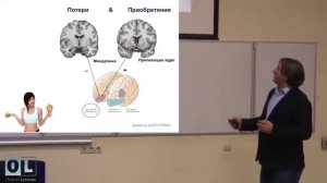 Как наш мозг принимает решения?