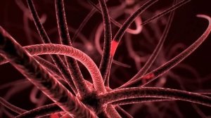 Увеличьте мощность мозга, повысьте интеллект, улучшите IQ, бинауральные и изохронные ритмы