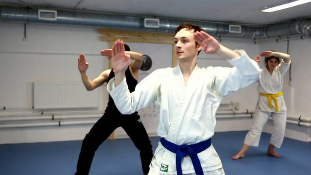 Каратэ для взрослых. Часть первая смотреть онлайн