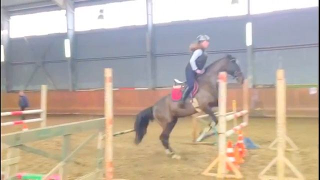 Конкур. Тренировка 01.03.2017, КСК Сокорос. Подготовка к соревнованиям. смотреть онлайн