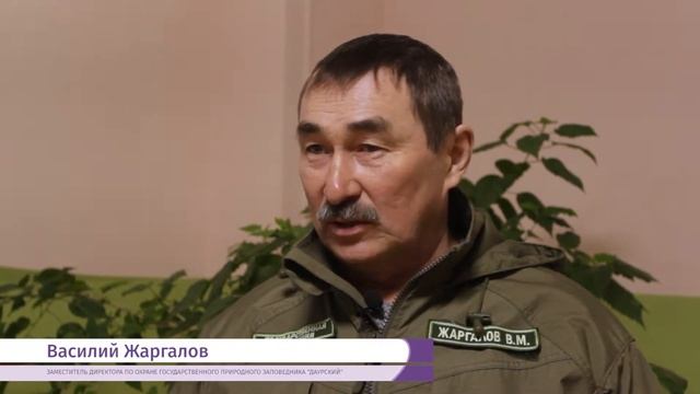 Барсуки просыпаются смотреть онлайн