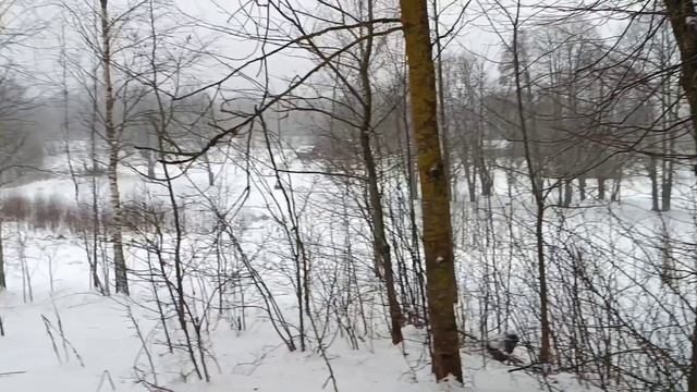 Вязынка, Цыдик, Янка Купала.