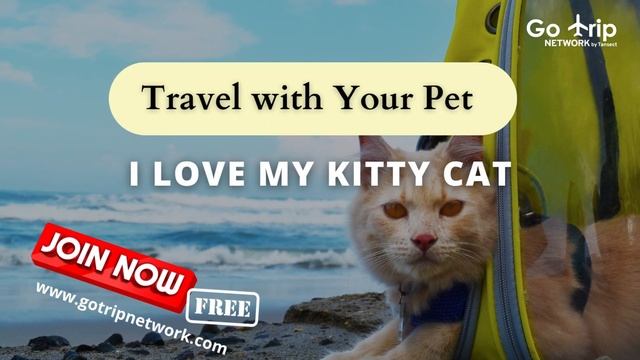 TRAVEL WITH YOUR PET I Love My Kitty Cat смотреть онлайн
