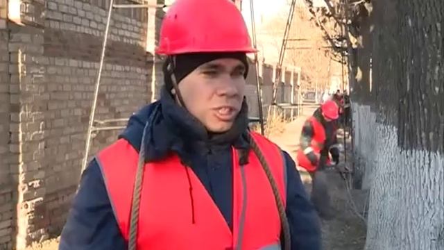 Обрезка деревьев