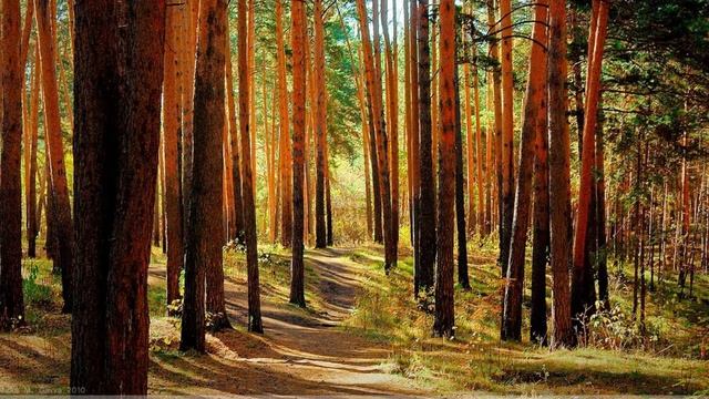 Детство И. Бунин смотреть онлайн