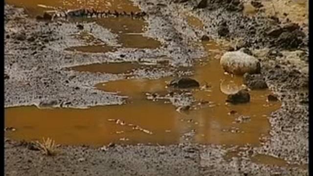 Дачные маршруты_001 смотреть онлайн