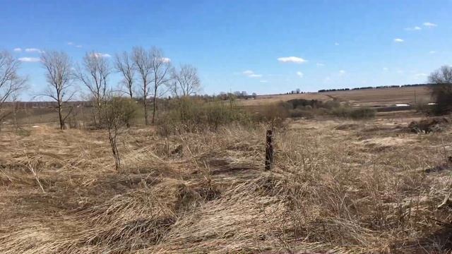 С металлоискателем ТХ850 на ферме 10. Металлокоп 2021 смотреть онлайн