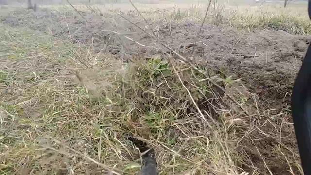 КОРНИ СПАРЖИ смотреть онлайн