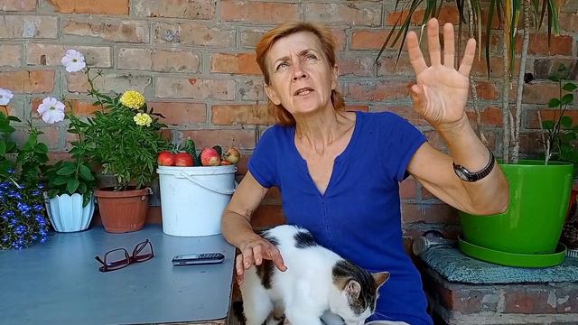 Утром как всегда есть чем заняться🦆🧹Славянск 17 июля 2023 смотреть онлайн