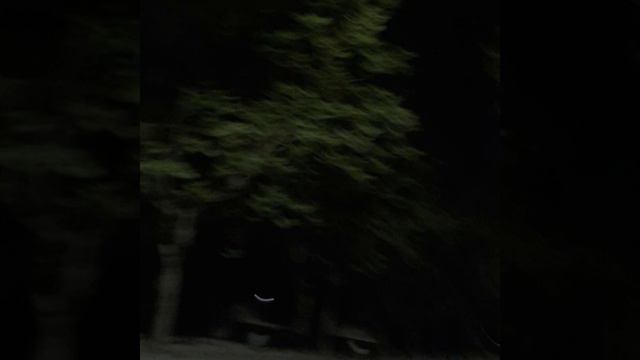 𝐆𝐢𝐛𝐫𝐚𝐧 𝐀𝐥𝐜𝐨𝐜𝐞𝐫 - 𝐈𝐝𝐞𝐚 𝟏𝟎(𝐒𝐥𝐨𝐰𝐞𝐝) смотреть онлайн