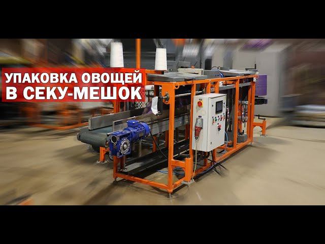 Упаковка овощей и фруктов (видео) смотреть онлайн