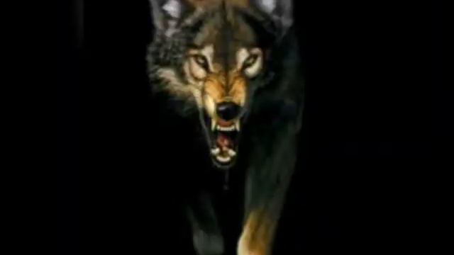Ош дед мохир бори смотреть онлайн