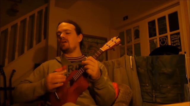 Amanda Palmer - Ukulele Anthem (Eoin Leonard Cover) смотреть онлайн
