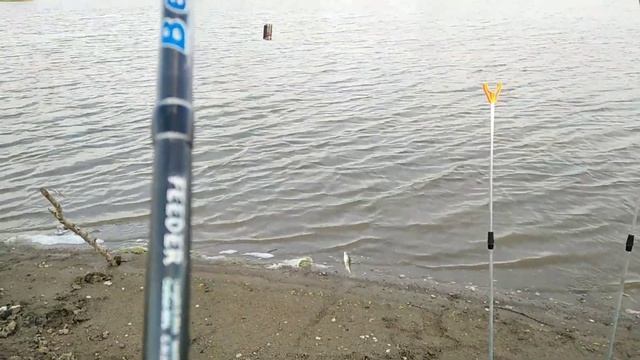 Неожиданная рыбалка. Ловим окуней. Клёв как из пулемёта. смотреть онлайн