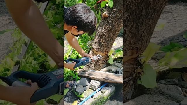 cutting tree used electric reciprocating saw смотреть онлайн