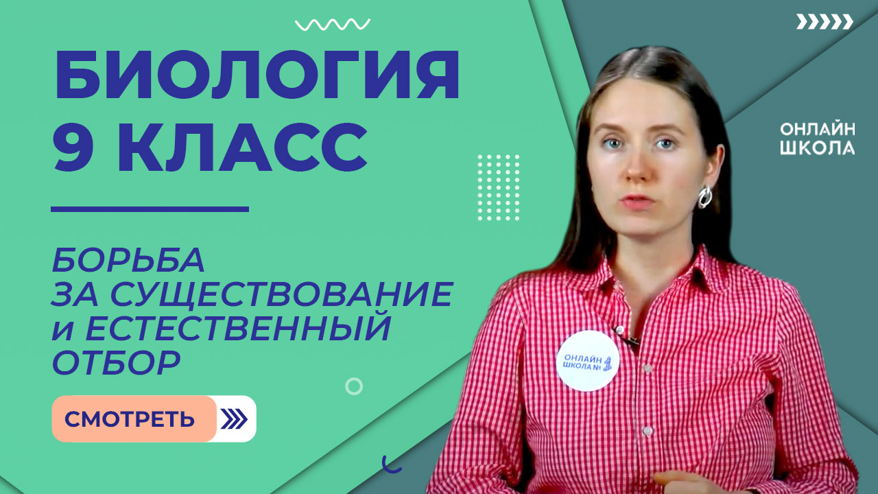 Борьба за существование и естественный отбор. Урок 28. Биология 9 класс смотреть онлайн