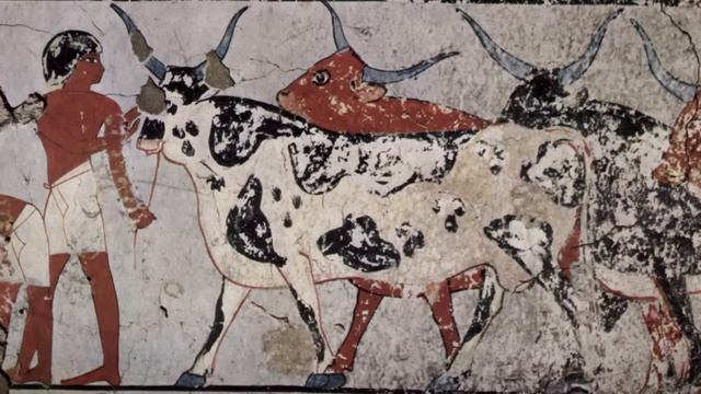 The Agricultural Revolution: Crash Course World History #1