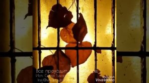 Все проходит в этом мире,снег сменяется дождем.Все приходит и уходит/Sevda Tunar/Ю.Д.Левитанский