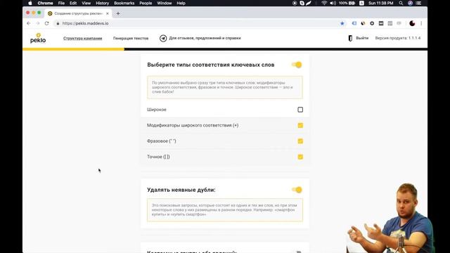 Быстрое и легкое удаление неявных дублей в Peklo Tool смотреть онлайн