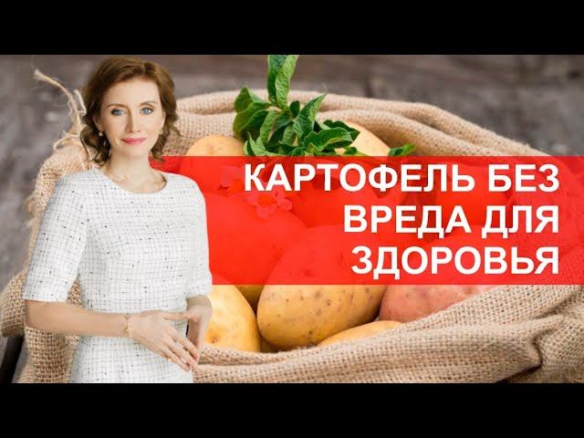 Картошка без вреда для здоровья смотреть онлайн