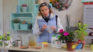 Профилактика болезней и вредителей.Дачные сезоны с Мариной Рыкалиной