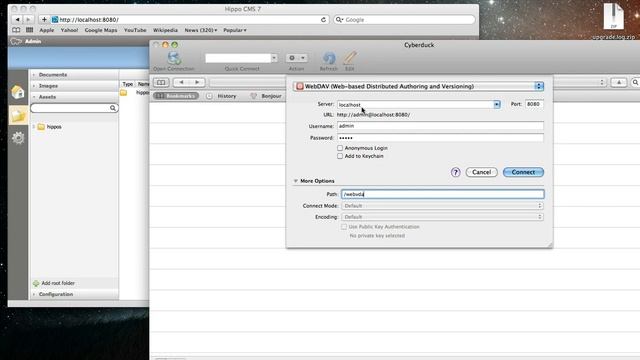 Hippo CMS 7 WebDAV support смотреть онлайн