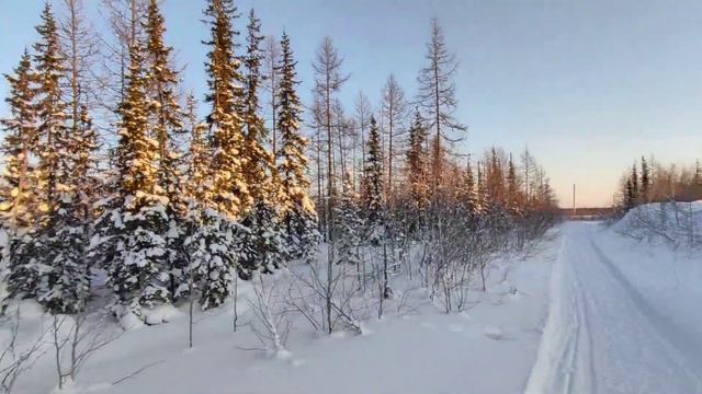 Russia north/Край земли/Крайний Север/Ямал/Лабытнанги/тундра/23.01.2022/the edge of the earth смотреть онлайн