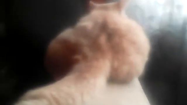 Едем на дискотеку смотреть онлайн
