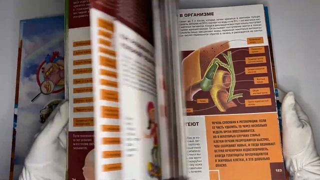 Гигантская детская энциклопедия с дополненной реальностью смотреть онлайн