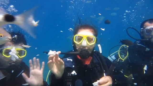Scuba Diving, Fethiye (Kayaköy Sanat Kampı) смотреть онлайн