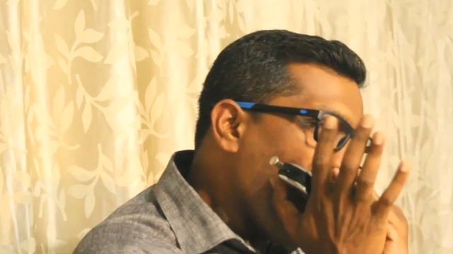 Mala ved lagale premache | मला वेड लागले प्रेमाचे | Harmonica Cover | Swapnil Chavan | Harmonil смотреть онлайн