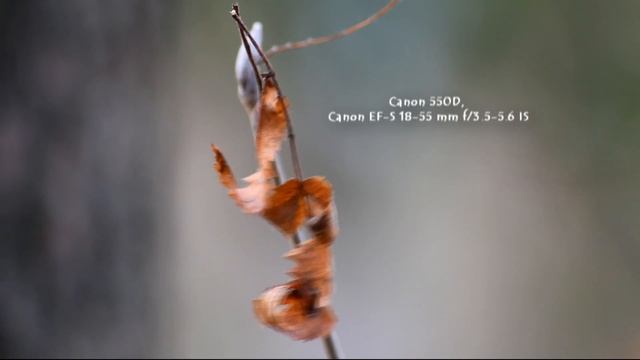 test canon 550d kit HD смотреть онлайн