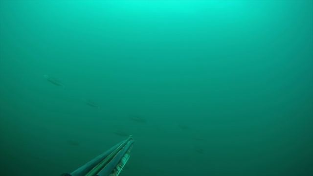Lander Pesca-Sub смотреть онлайн