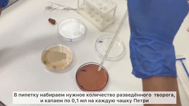 Санитарно-микробиологические исследования пищевых продуктов смотреть онлайн
