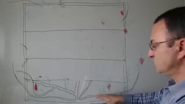 Обрезка старого куста винограда (1). смотреть онлайн