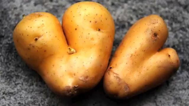 Песня нет зайцев. От этой музыки  внутри становится...