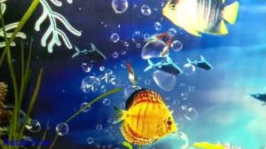 Рыбки плавают вниз головой! Неправильное кормление?