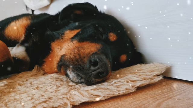 Малховер Billy смотреть онлайн