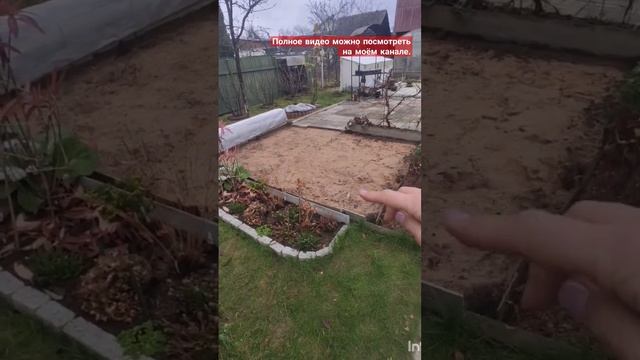 Обзор осеннего сада. Часть 1/5. (Видео от 16 ноября 2023 г). смотреть онлайн