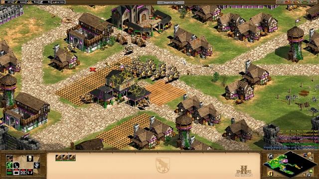 Age of Empires II: The Conquerors Campaign - 1.6 Attila the Hun: The Fall of Rome смотреть онлайн